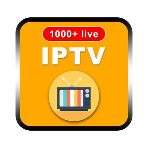B1G IPTV Reseller Panel